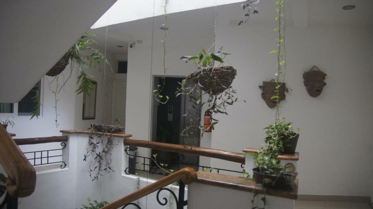 פוארטו ואלארטה Casa Del Parque Vallarta מראה חיצוני תמונה